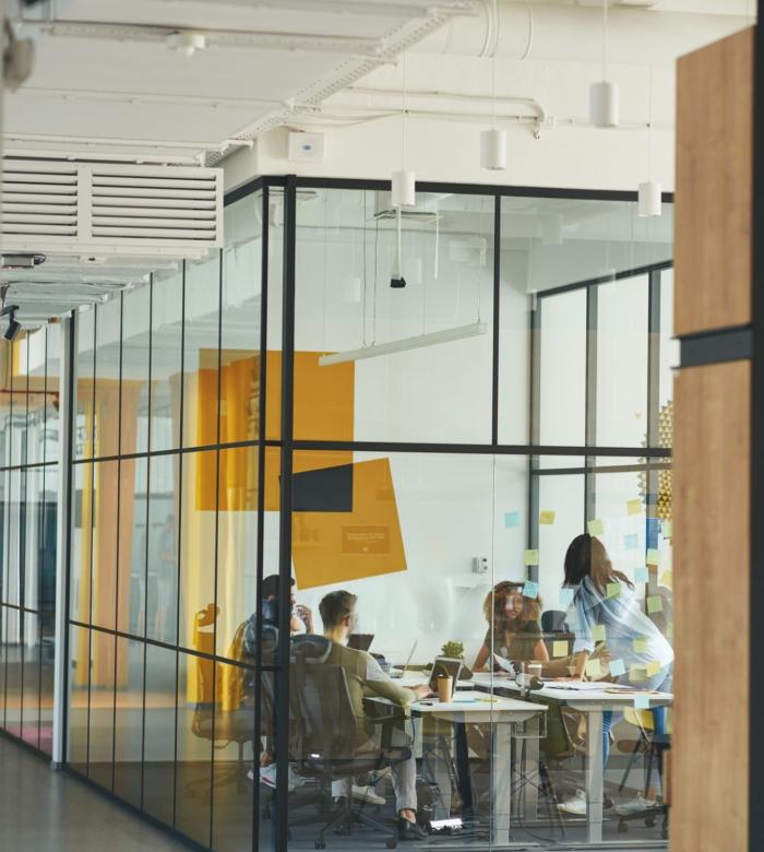 wmremove-transformed (1)